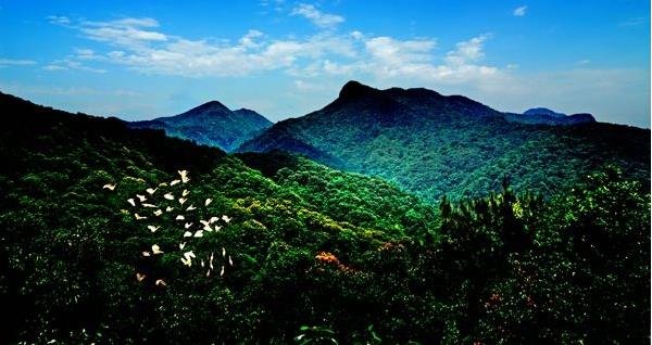 花都區(qū)出臺(tái)“白金十條”促進(jìn)旅游產(chǎn)業(yè)發(fā)展，最大一項(xiàng)政策獎(jiǎng)勵(lì)達(dá)2000萬(wàn)元???