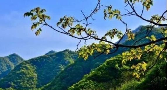 陜西省政府：印發(fā)《秦嶺生態(tài)環(huán)境保護行動方案》，持之以恒有效保護秦嶺這一國家重要生態(tài)安全屏障